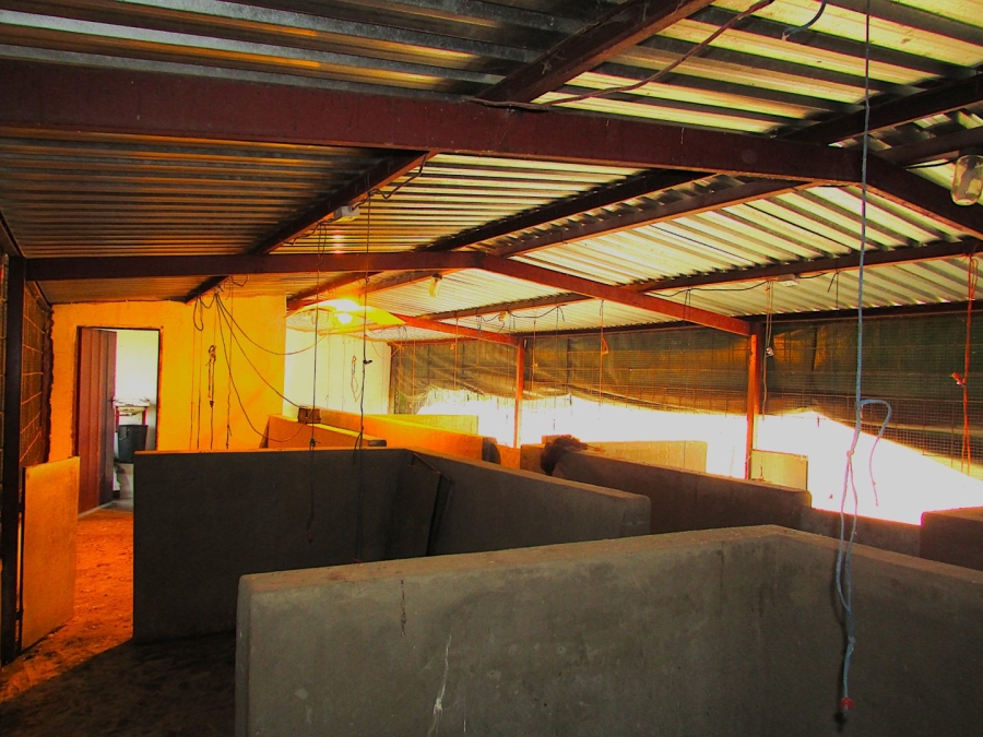 Commercial Property for Sale in Koppies Rural Free State